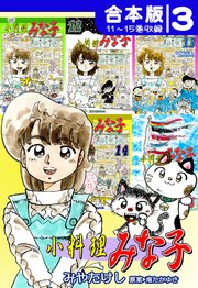 小料理みな子《合本版》(3) 11～15巻収録