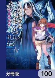 とある魔術の禁書目録外伝 とある科学の超電磁砲【分冊版】 100