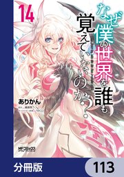 なぜ僕の世界を誰も覚えていないのか？【分冊版】　113