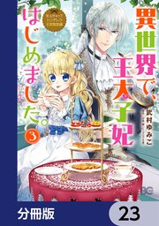 なんちゃってシンデレラ 王宮陰謀編 異世界で、王太子妃はじめました。【分冊版】 23