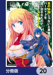 真の仲間じゃないと勇者のパーティーを追い出されたので、辺境でスローライフすることにしました【分冊版】 20