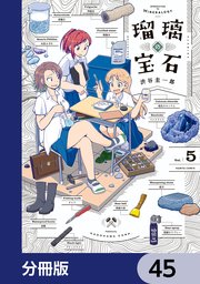 瑠璃の宝石【分冊版】 45