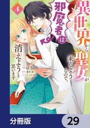 異世界から聖女が来るようなので、邪魔者は消えようと思います【分冊版】 29