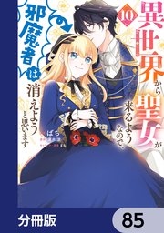 異世界から聖女が来るようなので、邪魔者は消えようと思います【分冊版】 85