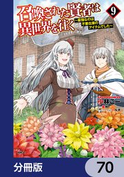 召喚された賢者は異世界を往く ～最強なのは不要在庫のアイテムでした～【分冊版】 70