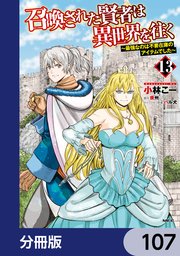 召喚された賢者は異世界を往く ～最強なのは不要在庫のアイテムでした～【分冊版】 107