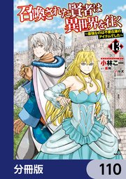 召喚された賢者は異世界を往く ～最強なのは不要在庫のアイテムでした～【分冊版】 110