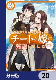 異世界でスキルを解体したらチートな嫁が増殖しました 概念交差のストラクチャー【分冊版】 20