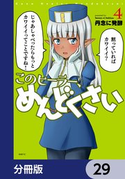 このヒーラー、めんどくさい【分冊版】 29