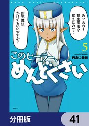 このヒーラー、めんどくさい【分冊版】 41