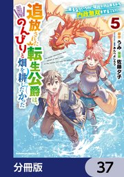 追放された転生公爵は、辺境でのんびりと畑を耕したかった ～来るなというのに領民が沢山来るから内政無双をすることに～【分冊版】　37