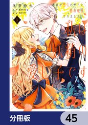 義妹が聖女だからと婚約破棄されましたが、私は妖精の愛し子です【分冊版】 45