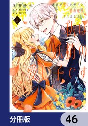 義妹が聖女だからと婚約破棄されましたが、私は妖精の愛し子です【分冊版】 46