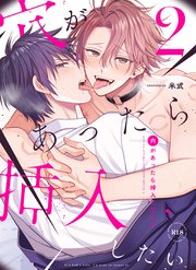 穴があったら挿入したい 2 デカちんで強○結腸攻めされてバチイキしたい！！