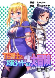 TS騎士と女装メイドの大冒険