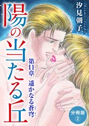 陽の当たる丘 第11章 遥かなる蒼穹 分冊版2