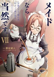 メイドなら当然です。　～万能メイド、濡れ衣かぶって旅に出る。～ 7巻