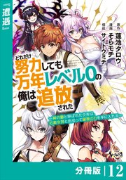 どれだけ努力しても万年レベル0の俺は追放された～神の敵と呼ばれた少年は、社畜女神と出会って最強の力を手に入れる～【分冊版】