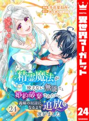 精霊魔法が使えない無能だと婚約破棄されたので、義妹の奴隷になるより追放を選びました