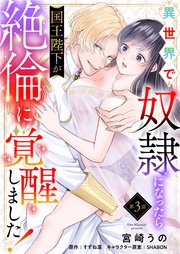 異世界で奴隷になったら国王陛下が絶倫に覚醒しました！【第3話】