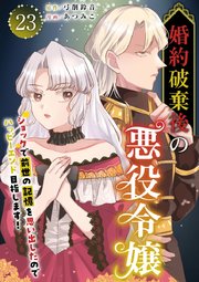 婚約破棄後の悪役令嬢～ショックで前世の記憶を思い出したのでハッピーエンド目指します！～（23）