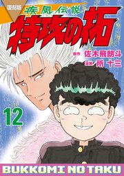 復刻版 疾風伝説 特攻の拓（12）