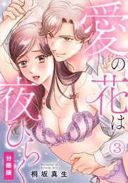愛の花は夜ひらく【分冊版】(3)