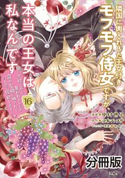 隣国に輿入れした王女付きモフモフ侍女ですが、本当の王女は私なんです 分冊版