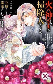 火の神さまの掃除人ですが、いつの間にか花嫁として溺愛されています【単話】 30