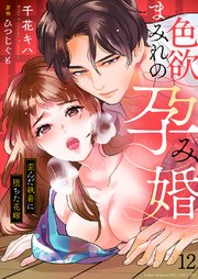 色欲まみれの孕み婚～歪んだ執着に堕ちた花嫁 12巻