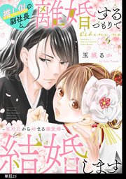 推し似の副社長と離婚するつもりで結婚します～塩対応から始まる溺愛婚～【単話】（29）
