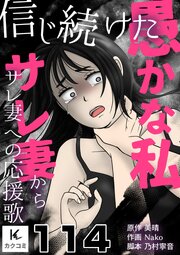 信じ続けた愚かな私～サレ妻からサレ妻への応援歌