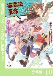 猫魔法が世界に革命を起こすそうですよ？【分冊版】（ノヴァコミックス）10