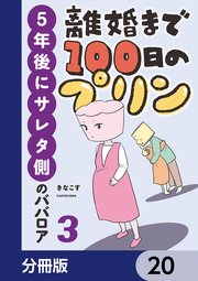 離婚まで100日のプリン【分冊版】 20