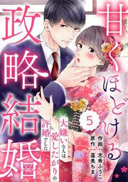 comic Berry’s甘くほどける政略結婚～大嫌いな人は愛したがりの許婚でした～5巻