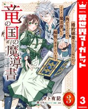 竜の国の魔導書 ～婚約破棄された上に呪われて角が生えたので、イケメン魔法使いと解呪に奔走しています～ 3