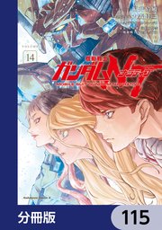 機動戦士ガンダムNT【分冊版】 115