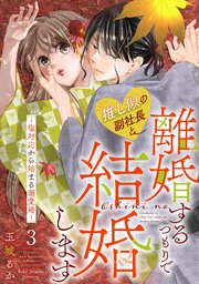 推し似の副社長と離婚するつもりで結婚します～塩対応から始まる溺愛婚～（3）