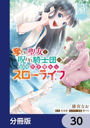 奪われ聖女と呪われ騎士団の聖域引き篭もりスローライフ【分冊版】 30