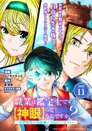 職業は鑑定士ですが【神眼】ってなんですか？ ～世界最高の初級職で自由にいきたい～ 連載版
