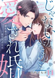 じゃない方、だけど愛され婚～契約婚の相手は一途すぎる社長（11）