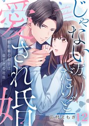じゃない方、だけど愛され婚～契約婚の相手は一途すぎる社長（12）