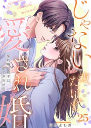 じゃない方、だけど愛され婚～契約婚の相手は一途すぎる社長（25）