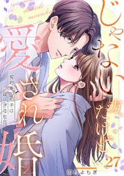 じゃない方、だけど愛され婚～契約婚の相手は一途すぎる社長（27）