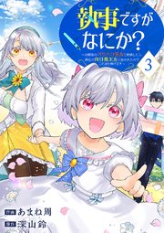 執事ですがなにか？～幼馴染のパワハラ皇女と絶縁したら、隣国の向日葵王女に拾われたのでこの身を捧げます～【電子単行本版】 3巻