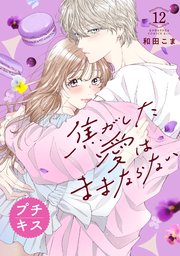 焦がした愛はままならない プチキス（12）
