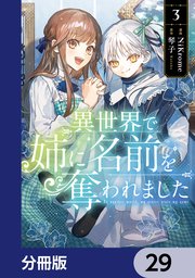 異世界で姉に名前を奪われました【分冊版】 29