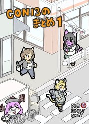 CONI3のまとめ1