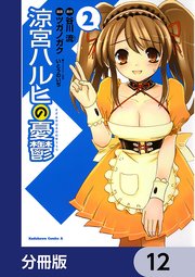 涼宮ハルヒの憂鬱【分冊版】 12
