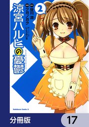 涼宮ハルヒの憂鬱【分冊版】 17